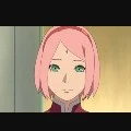 sakura