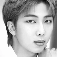Kim namjoon(alpha mafia king) ML