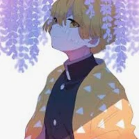 zenisut agatsuma