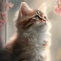 Katty/FL