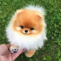 ครูแอด
