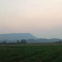 ทุกคน