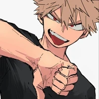 katsuki bakugou (d.p.d)