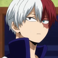 shoto todoroki(o.d)