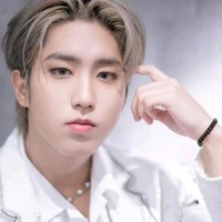 Han Jisung(anggota inti B.S)