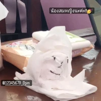 คนอ่าน