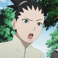 shikadai