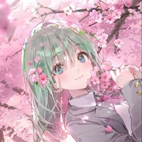 Tsukumo y/n