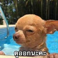แอดเด้อ