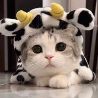 เป็นทุกอย่าง