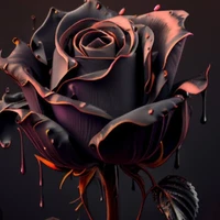 Black.Rose