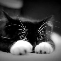 ริวมะ(ตอนเด็ก)