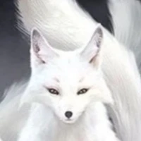 Foxy