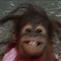 แอดเอง