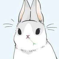 monsieur carotte 🥕
