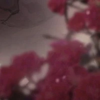 UNKNOWN