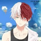 Shoto Todoroki