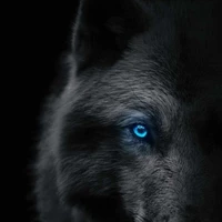 คีน(ร่างหมาป่า)