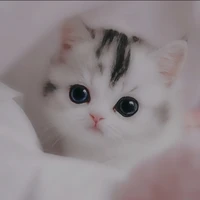 แอดสุดส๊วย😘😘😘