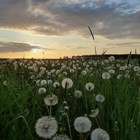 ไลท์ที่แปลว่าแสง