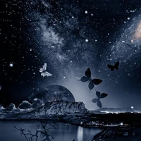 The sky