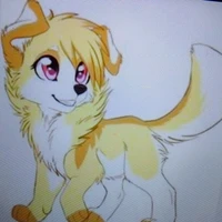 la Coyote