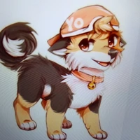 naioki