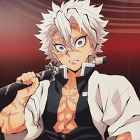 Sanemi Shinaguzawa