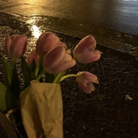 แอดเองคร้าบ😆