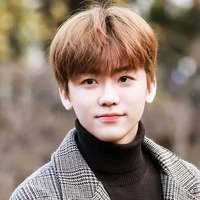 Na Jaemin