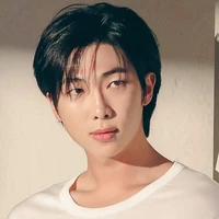 Namjoon •ALFA DOMINANTE•