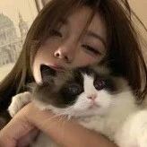 ซิน/Sin