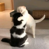 แอดดดดด