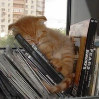 Sleepy Head Author