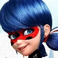 Ladybug