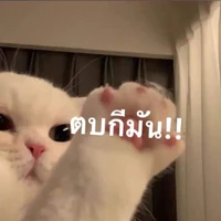 ใครครับเนี่ย