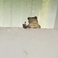 แอด