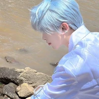 ดาวเหนือ