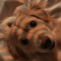 Bella