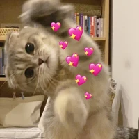 แมวเบล