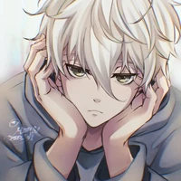 Nagi seiro