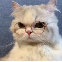 แอดเอง~🐽