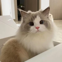 Yeosin