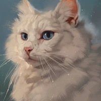 Marshmallow