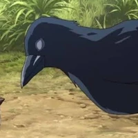 kettle🐦