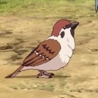 bird🐦