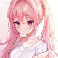 MISAN