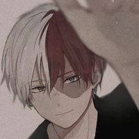 todoroki(todo)