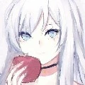 Vena Fem