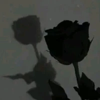 แอด